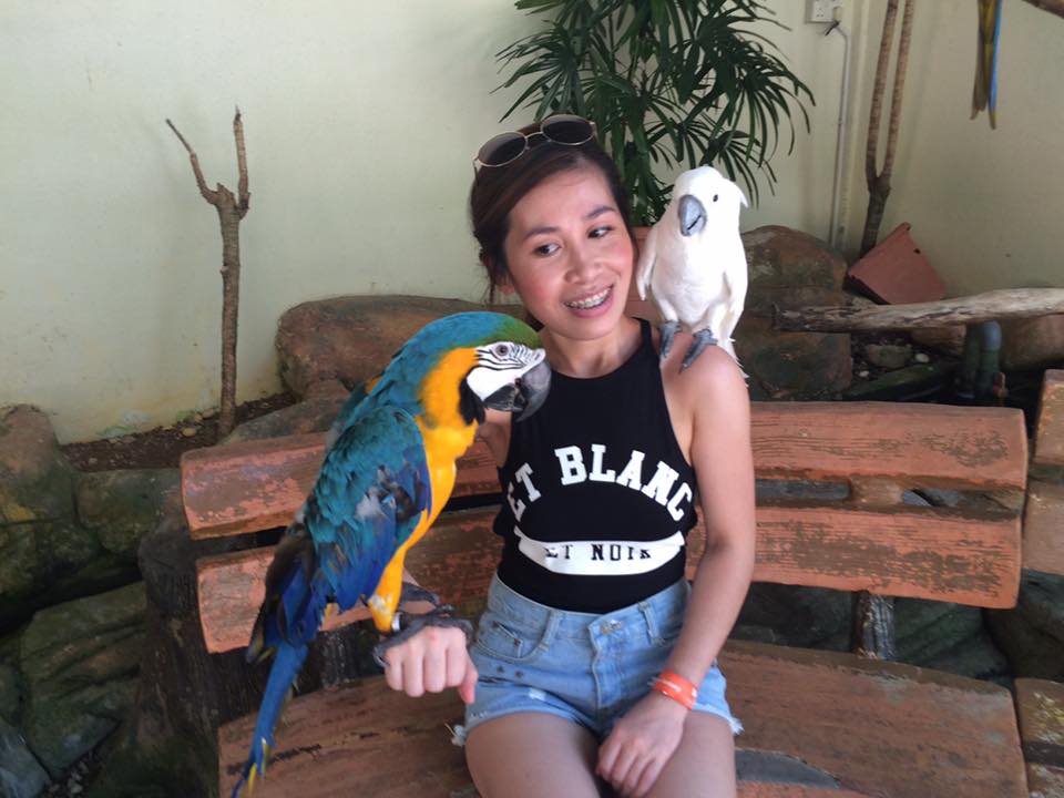 12803301_1124658707552403_8334138466063211448_n