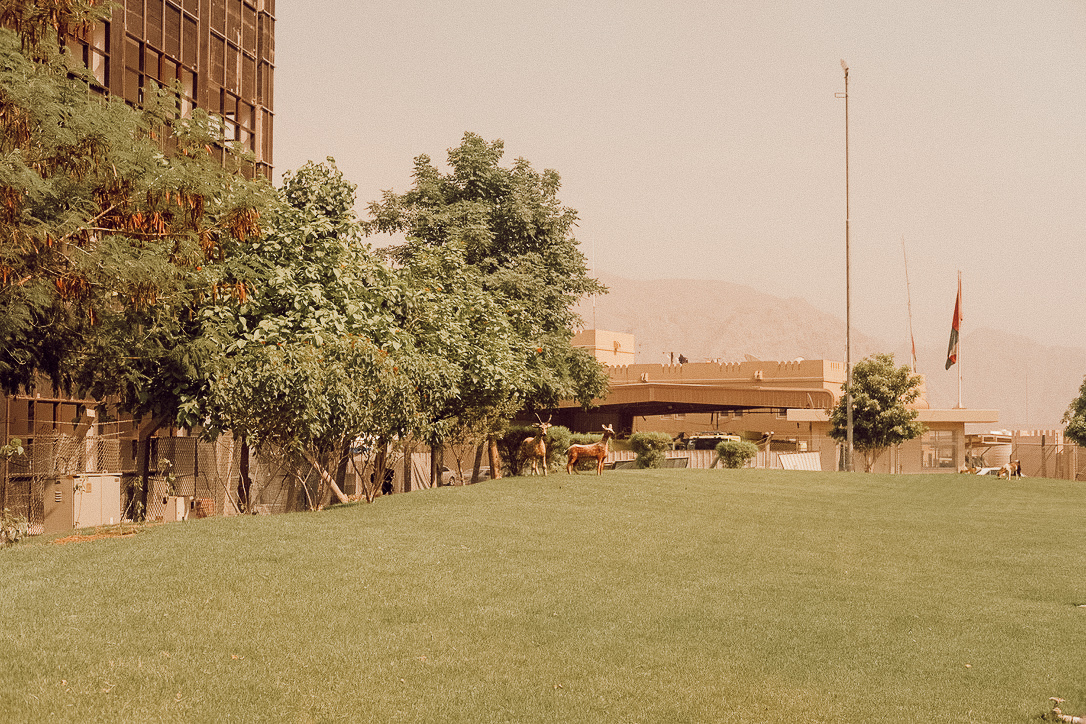 UNADJUSTEDNONRAW_thumb_22be